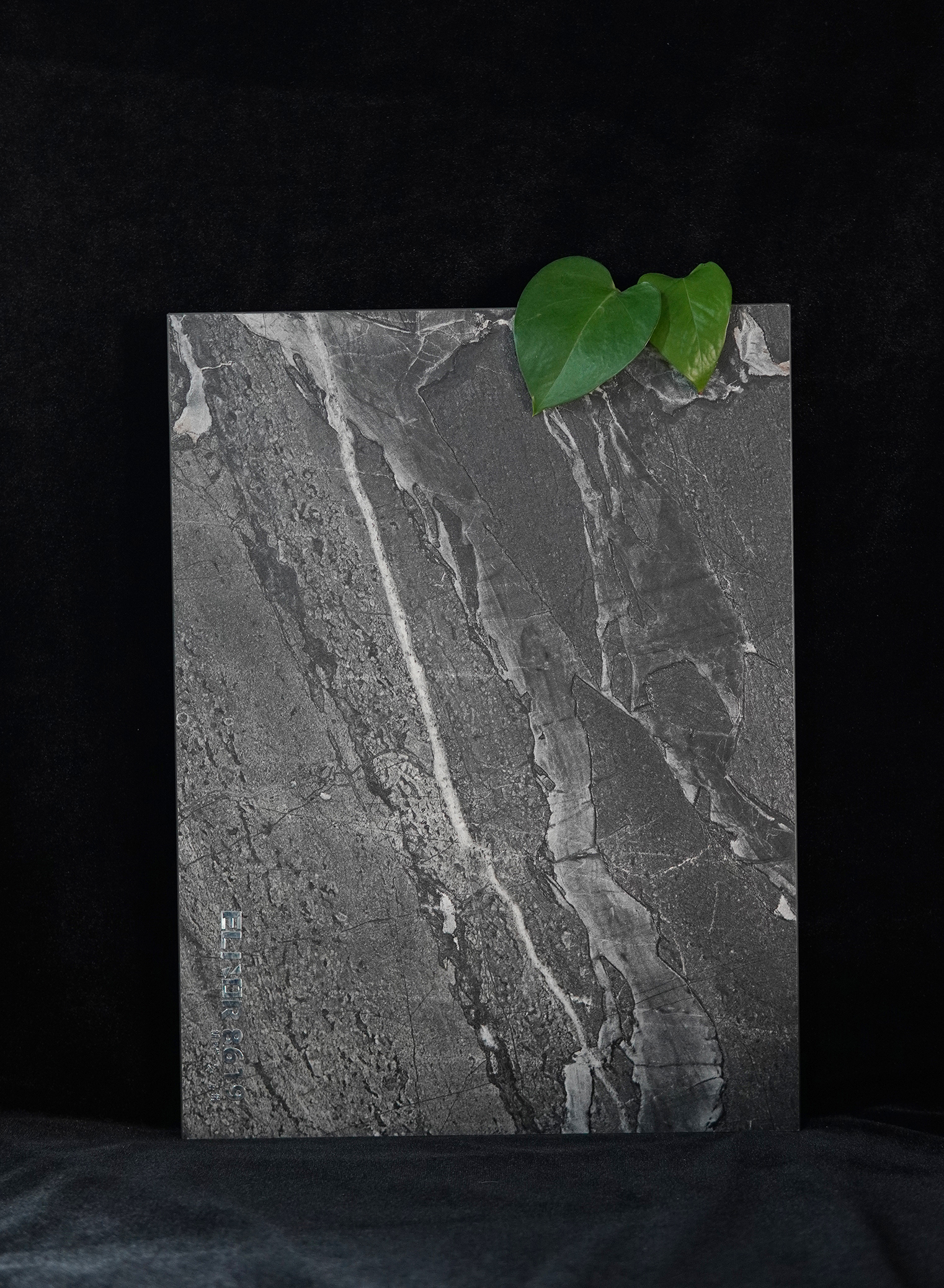 爱丽诺-8619