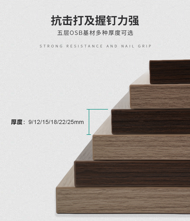 版式05