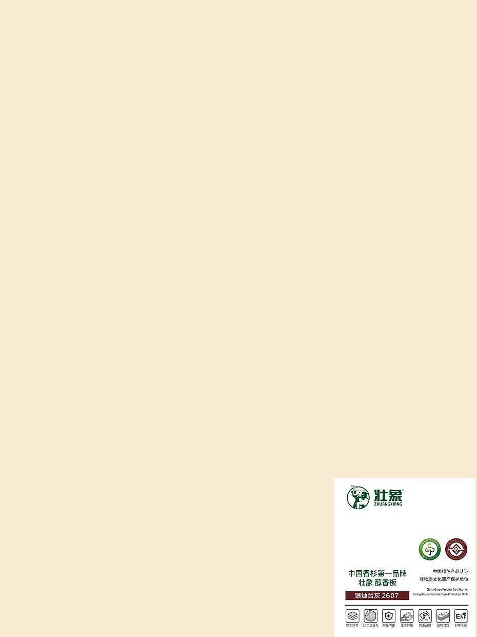 银烛台灰-2607
